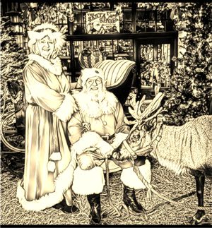 Santa Bob Coloring Book